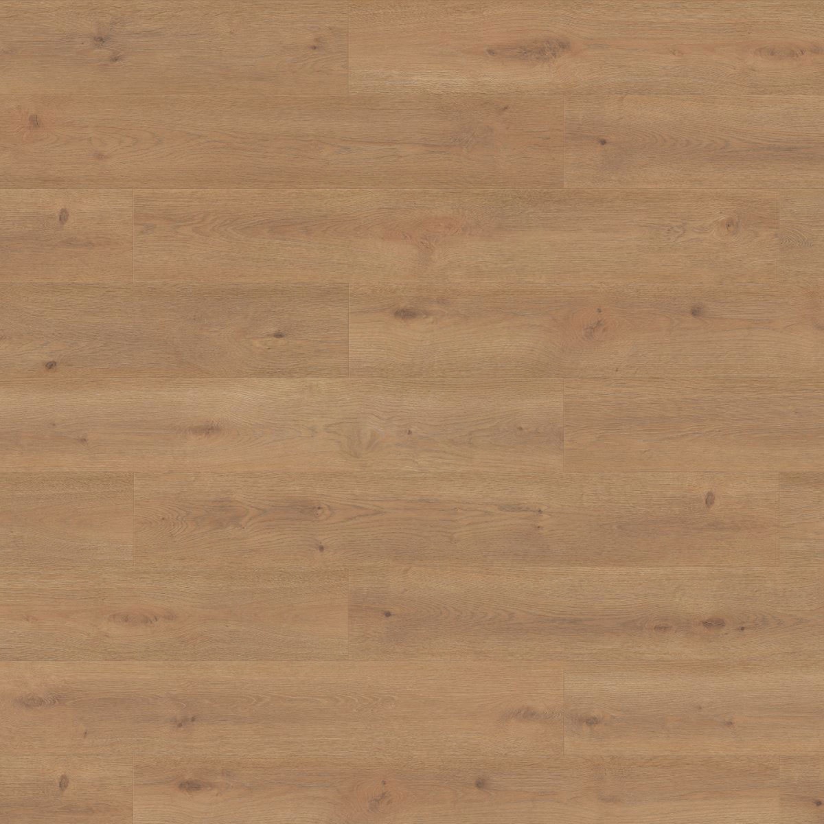 BERN OAK 8mm LAMINATE FINSA