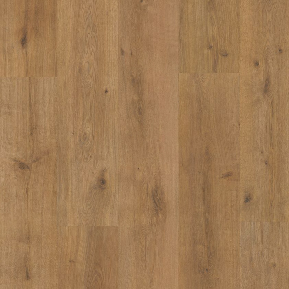 LEGACY XL 10mm – 4V LAMINATE