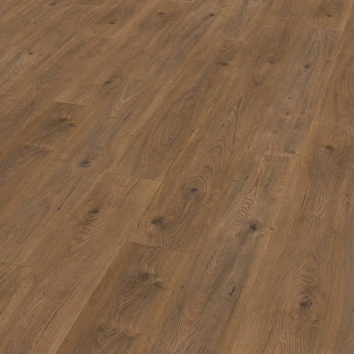 TOASTED WEXFORD ECO EVOLVE – 4V 8mm LAMINATE